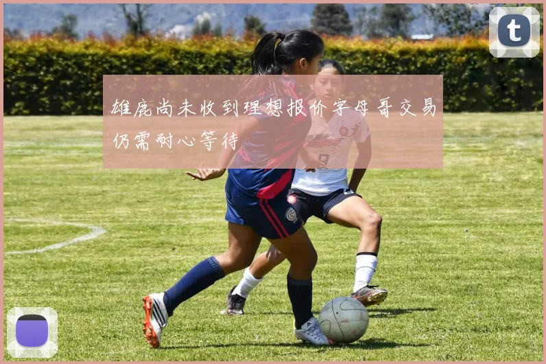 雄鹿尚未收到理想报价字母哥交易仍需耐心等待